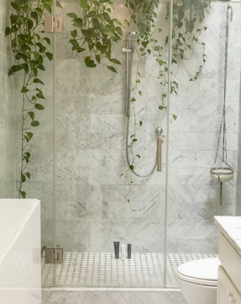 Bathroom Showers