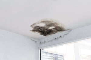 How To Detect Hidden Plumbing Leaks In Your Home
