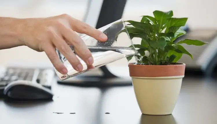 Healthy Savings Habit